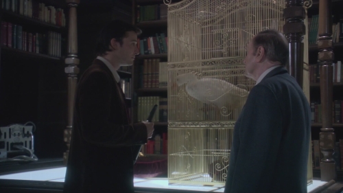 NWN-TheLibrarianQuest-0929.jpg