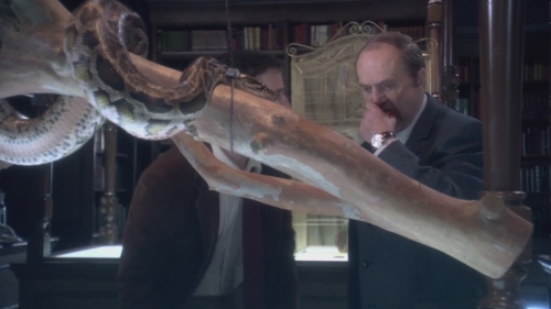 Click to view full size image
==============
NWN-TheLibrarianQuest-0951.jpg NWN-TheLibrarianQuest-0951.jpg