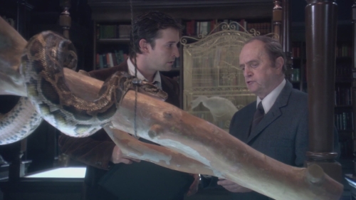 NWN-TheLibrarianQuest-0954.jpg
