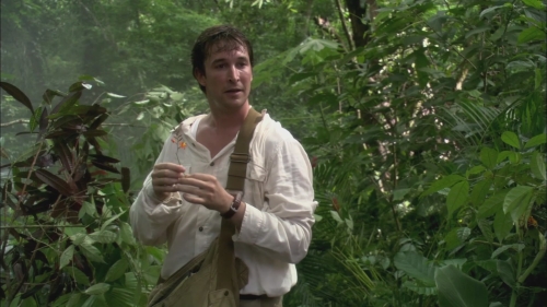 NWN-TheLibrarianQuest-1720.jpg