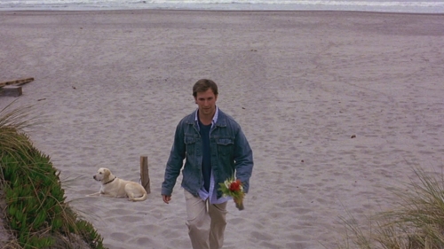 NWN-TheCalifornians-1234.jpg