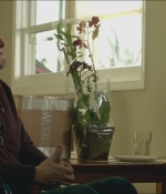 NWN-Shot-2012.jpg