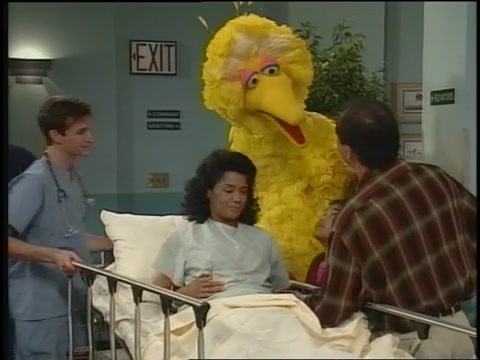 NWF-SesameStreet3526-0070.jpg NWF-SesameStreet3526-0070.jpg
