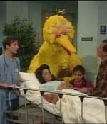 NWF-SesameStreet3526-0075.jpg