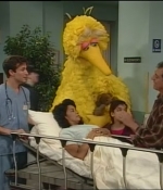 NWF-SesameStreet3526-0076.jpg