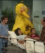 NWF-SesameStreet3526-0077.jpg