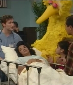 NWF-SesameStreet3526-0086.jpg