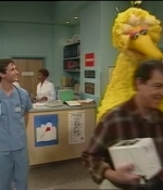 NWF-SesameStreet3526-0104.jpg