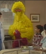 NWF-SesameStreet3527-0065.jpg