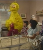 NWF-SesameStreet3527-0070.jpg