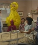 NWF-SesameStreet3527-0073.jpg