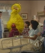 NWF-SesameStreet3527-0076.jpg