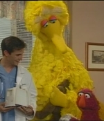NWF-SesameStreet3527-0101.jpg