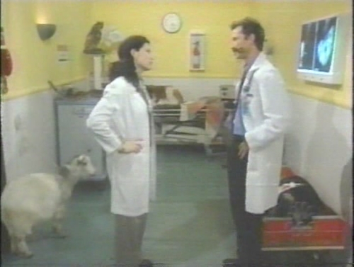 NWF-SNL-0017.jpg